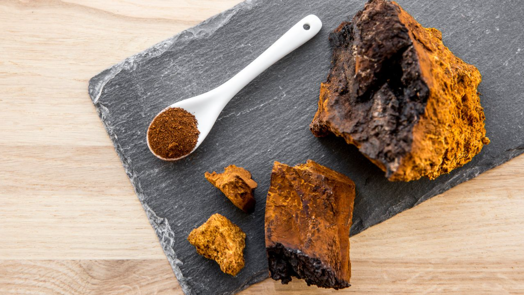 Chaga 1